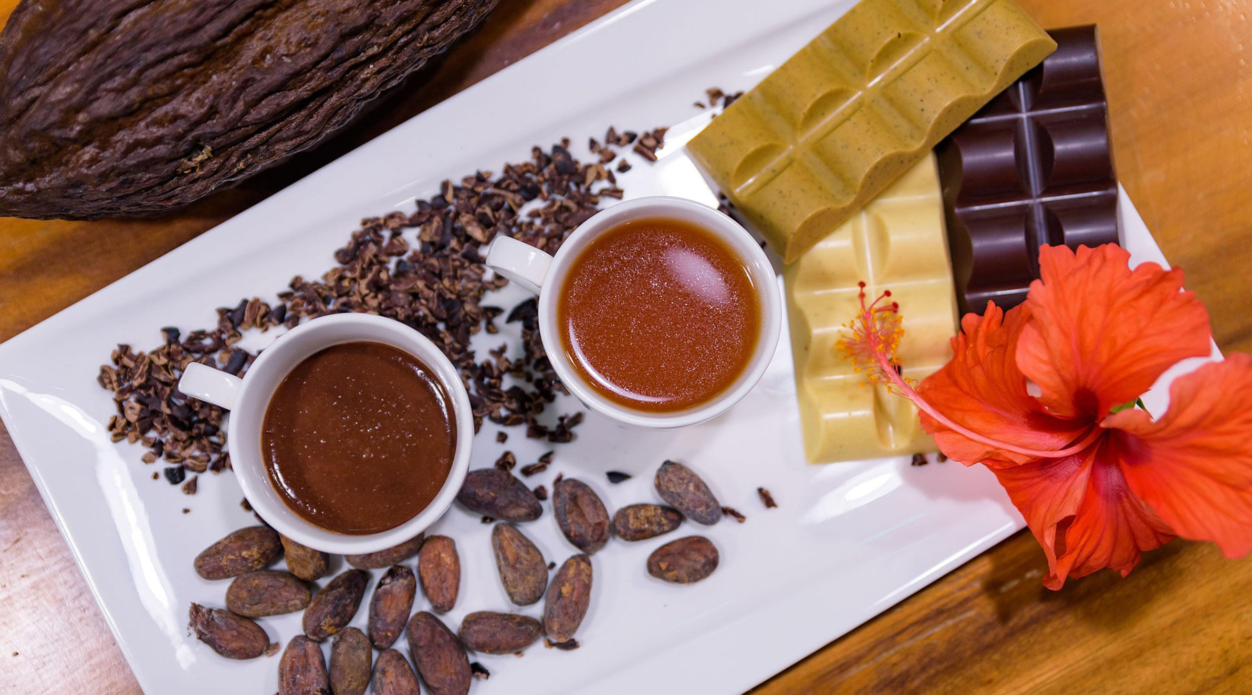 cacao-boisson