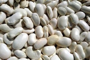 White beans
