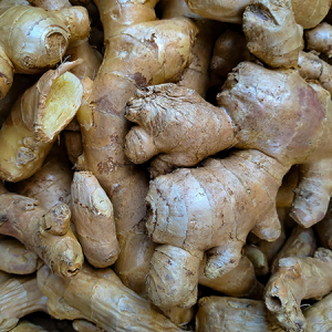 ginger-450